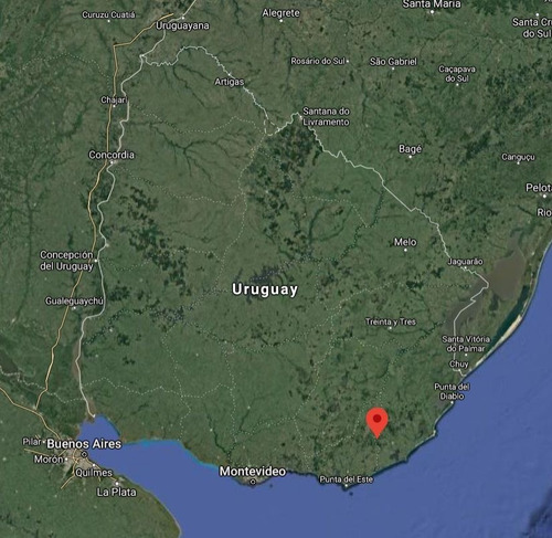 Venta De Campo Ganadero - Forestal En Rocha / Maldonado