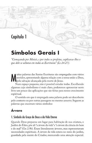 Livro Sombras, Tipos E Mistérios Da Bíblia / Joel Leitão
