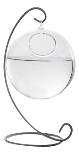 Forma De Pendurado Na Parede Vaso De Flores Planta Garrafa