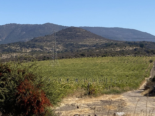 Hermoso Fundo Ubicado A 6,5 Km De San Fernando