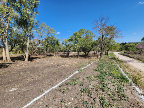 Terreno - Parana
