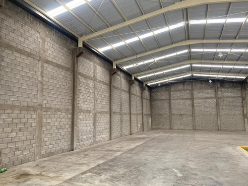 Imagen 5 de 10 de Bodega En Renta Ciudad Industrial Celaya Con Oficinas.