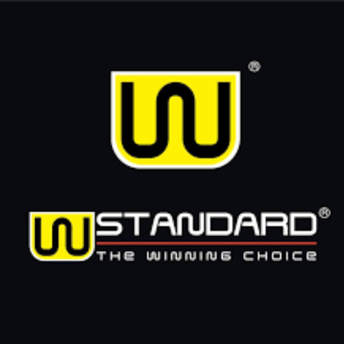 Cilindro Con Piston Set Bajaj Pulsar Ns 200 (12-23) (wstd)