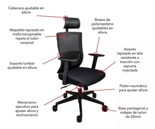 Silla de Oficina con Soporte Lumbar 