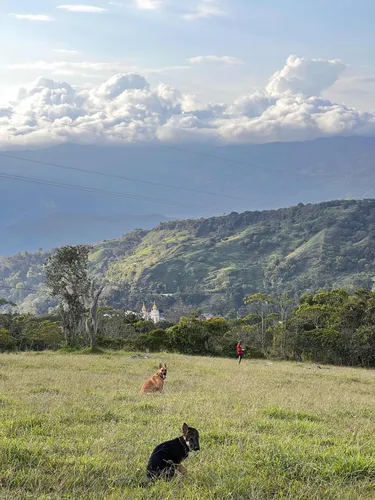 Hermoso Lote Para Empezar Una Vida Campestre