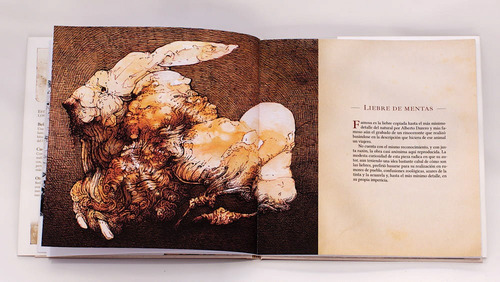 Imagen 3 de 5 de Libro En Un Lugar De La Mancha De Lisandro Demarchi