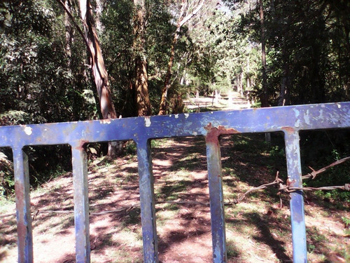 Imagem 1 de 24 de 6alqueres-jaceguava-ref 1929