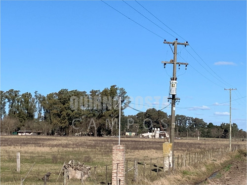 Imagen 6 de 13 de Campo Venta Las Heras Cabaña Producción Engorde Villars