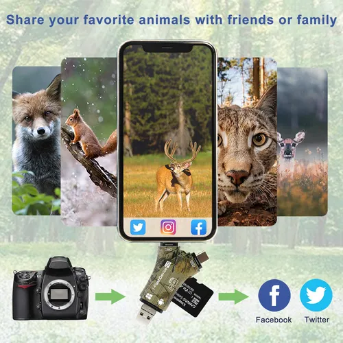 Lector De Tarjetas Sd Trail Camera Viewer 4 En 1 Para iPhone