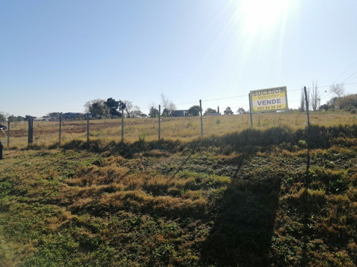 Imagen 7 de 12 de Chacra 1.5 Hectarea En Venta - 75 Metros De Frente A La Ruta 102 Km 38.500