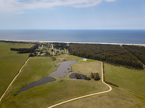 Imagen 11 de 30 de Terreno Lote En Venta Ubicado En Playa Brava, Punta Del Este, Punta Del Este / Maldonado