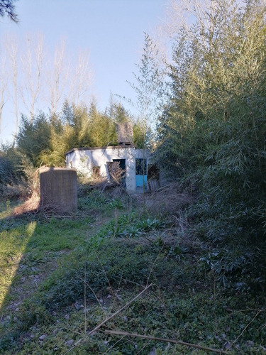 Imagen 5 de 6 de Chacra 3 Há Con Gran Construcción