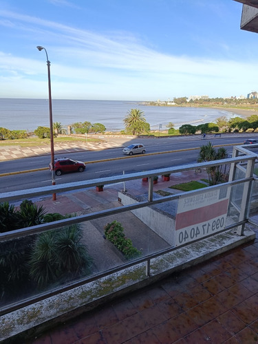 Alquiler Monoambiente Con Balcón Al Frente Sobre Rambla De Malvin, Garantía Porto Seguros