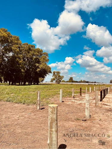 Imagen 6 de 14 de 2 Hectáreas De Campo Con 25 Boxes