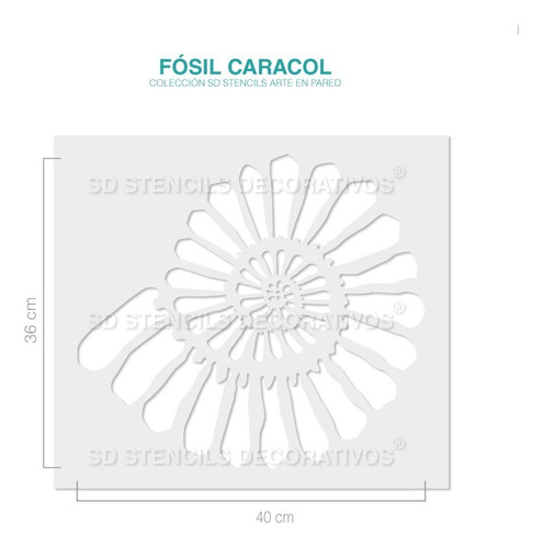 Imagen 3 de 3 de Stencil Fósil Caracol Plantilla Reusable Para Pintar