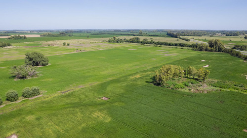 Campo 22ha Sobre Autopista San Andres De Giles