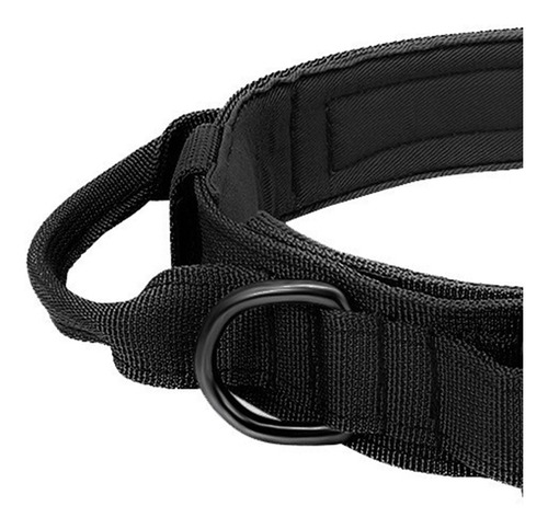 Collar De Perro Táctico Militar Profesional Ajustable L