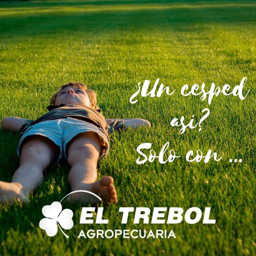 Fertilizante Granulado Turfmax Hierro Plus 1 Kg