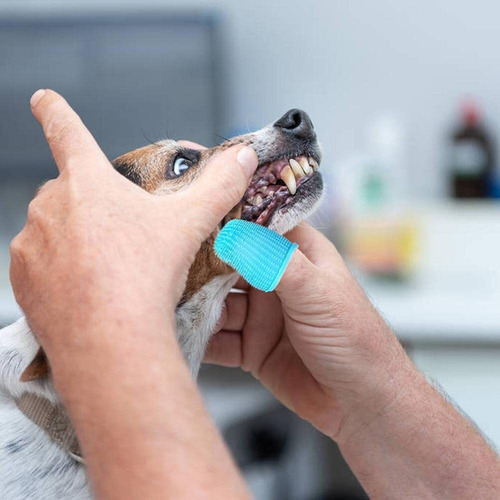 Cepillo Limpiador De Dientes For Mascotas, Dos Piezas