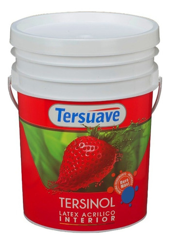 Tersuave Tersinol Látex Interior Acrílico Antihongo Mate Pintura 10L 