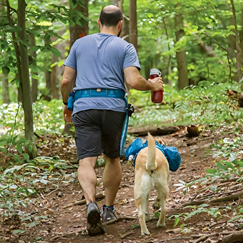Free Dog Running Belt - Crossbody Walking Belt For Dogs Color Azul Costero