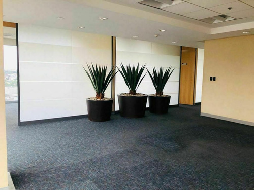 Imagen 3 de 14 de Oficinas Acondicionadas En Renta Providencia 1a Secc