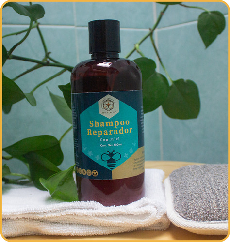 Shampoo Reparador Con Miel Bee Tierra 500ml
