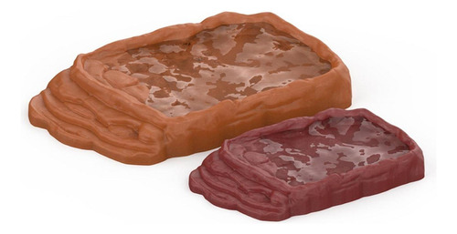 Plato De Agua De Alimentación De Roca De Rampa De Reptiles