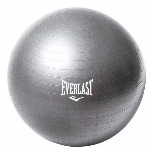 Pelota De Estabilidad De 75cm Gris - Everlast Oficial