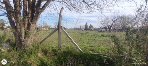 Terreno En Venta - 1500mts2 - Lima, Zarate