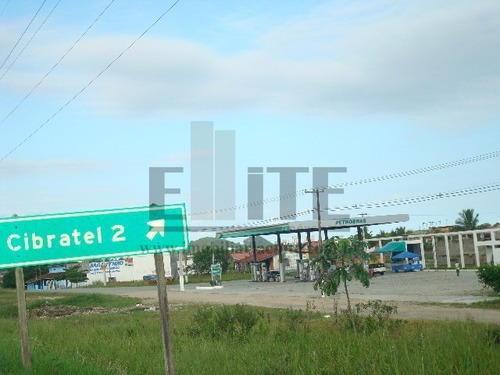 Imagem 2 de 13 de Terreno - Te00035 - 32363942