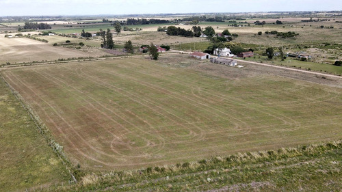 Se Alquila Campo De 3 Hás. Con Galpones Sobre Ruta 5 Canelones