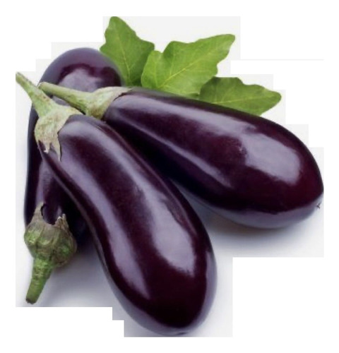 Berenjena Violeta Larga (50 Semillas)