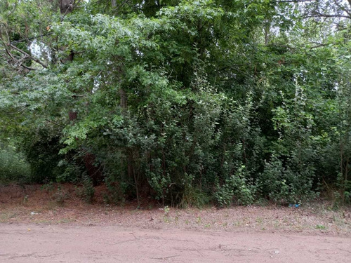 Venta Lote Barrio Camino Del Jaguel Santa Teresita, Alamos