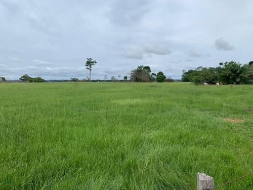 Finca Ganadera En Venta En El Magdalena Medio