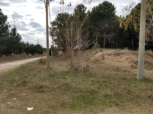 Imagen 1 de 1 de Venta Lote En San Bernardo 20 X 50