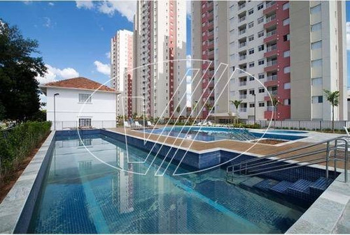 Apartamento À Venda Em Ponte Preta - Ap281792