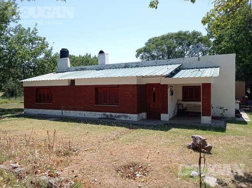 Imagen 3 de 27 de Campo - Punta De Agua