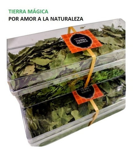 Hoja De Neem, Té Orgánico, Caja G, 3 Pack, 480 Gr