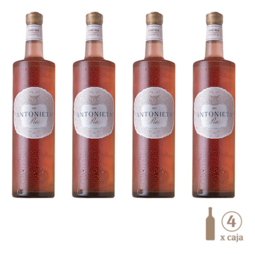 Vino Rosado Antonieta Pinot Noir Falasco Wines X4