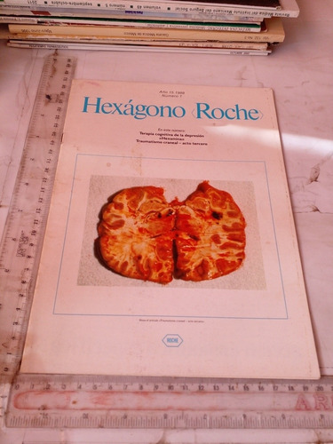 Revista Hexágono Rocha No 1 1988