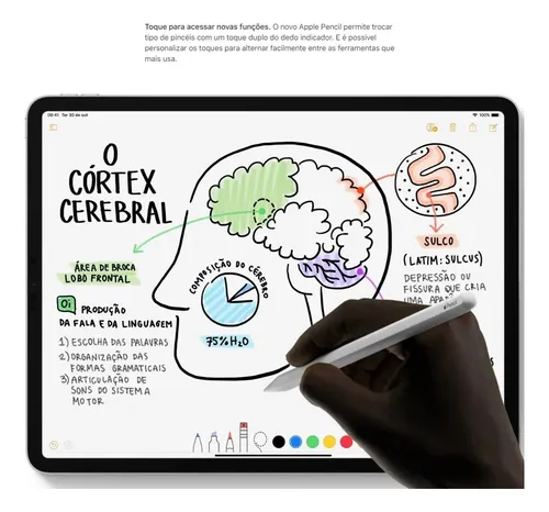 Apple Pencil 2a Geração Para iPad Original Caixa Lacrada
