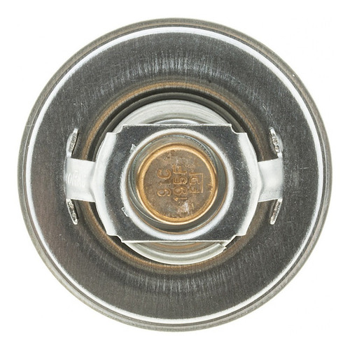 Termostato 91°c/195°f Chevrolet Chevy Ii 1966-1967 4.6 Lts