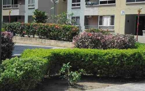 Imagen 9 de 10 de Servicio De Jardinería