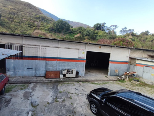 Imagen 15 de 28 de En Venta Galpón Y Terreno Ubicado En Ejido Sector Los Higuerones
