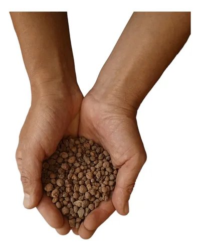 comprar Arlita (arcilla Expandida) Hidroponia X 1 Kilo