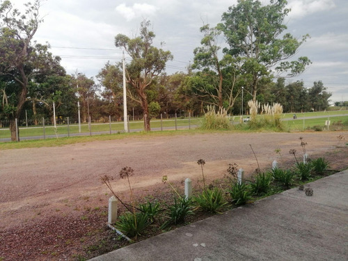 Sitio Ofrece En Alquiler Local Comercial En Ruta 39