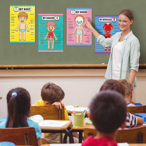 Human Body Educational Learning Posters Body Parts Learning