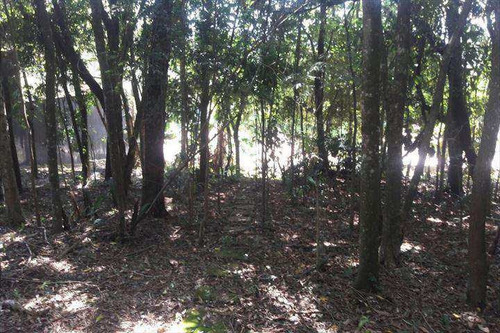 Imagem 2 de 5 de Terreno Em Santana De Parnaíba Bairro Portal Das Acácias - V232500