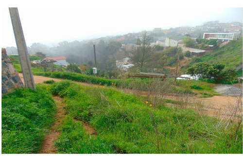 Región Valparaiso (73811)